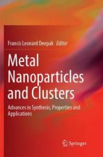 Metal Nanoparticles and Clusters