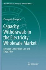Capacity Withdrawals in the Electricity Wholesale Market