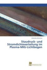 Staudruck- und Stromdichteverteilung im Plasma-MIG-Lichtbogen