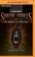 DARKNESS OF SUNNYPOINT THE
