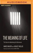 MEANING OF LIFE THE