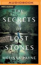 SECRETS OF LOST STONES THE