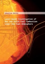 Laser-based Investigation of Gas and Solid Fuel Combustion under Oxy-Fuel Atmosphere
