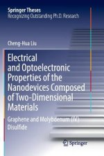 Electrical and Optoelectronic Properties of the Nanodevices Composed of Two-Dimensional Materials