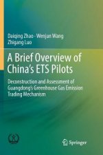 Brief Overview of China's ETS Pilots