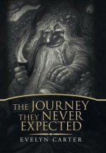 Journey They Never Expected