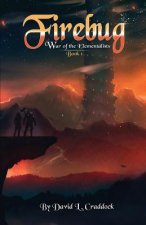 Firebug: War of the Elementalists: Book 1