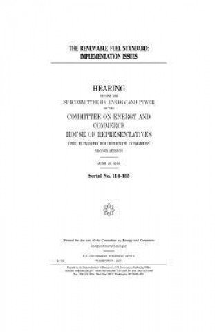 The renewable fuel standard: implementation issues