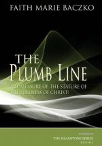 Plumb Line