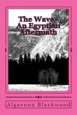 The Wave - An Egyptian Aftermath
