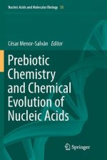 Prebiotic Chemistry and Chemical Evolution of Nucleic Acids