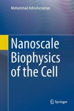 Nanoscale Biophysics of the Cell