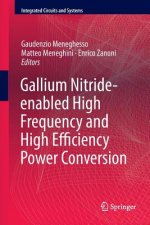 Gallium Nitride-enabled High Frequency and High Efficiency Power Conversion