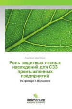 Rol' zashhitnyh lesnyh nasazhdenij dlya SZZ promyshlennyh predpriyatij