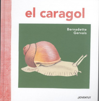 EL CARAGOL
