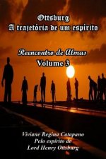 Ottsburg - A trajetória de um espírito: Reencontro de Almas - Volume 3