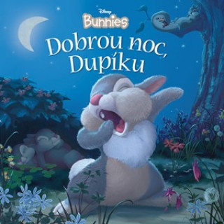 Disney Bunnies Dobrou noc, Dupíku