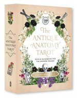 The Antique Anatomy Tarot Kit