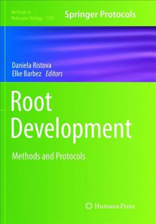 Root Development