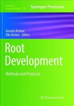 Root Development