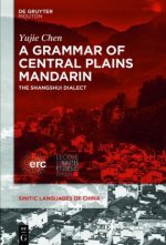 A Grammar of Central Plains Mandarin