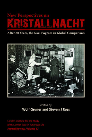 New Perspectives on Kristallnacht