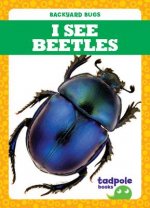 I See Beetles