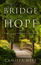 Bridge of Hope