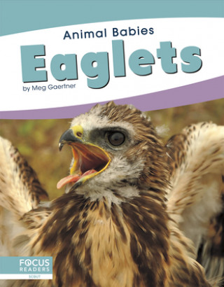 Animal Babies: Eaglets