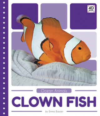 Ocean Animals: Clown Fish