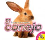 El Conejo