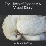 The Lives of Pigeons: A Visual Diary
