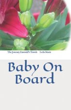 The Journey Emerald's Travels: Baby on Board