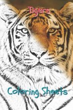 Tigers Coloring Sheets: 30 Tigers Drawings, Coloring Sheets Adults Relaxation, Coloring Book for Kids, for Girls, Volume 1