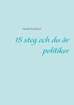 15 steg och du ar politiker