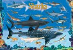 Sharks 100 Pieces Eurographics Kids 5+