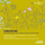 Concertino-Virtuoses von Netzer,Schgraffer,Go