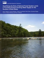 Quantifying the Role of National Forest System Lands in Providing Surface Drinking Water Supply for the Southern United States