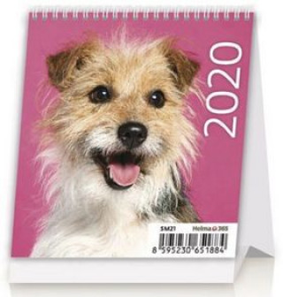 Mini Puppies - stolní kalendář 2020