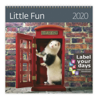 Little Fun - nástěnný kalendář 2020