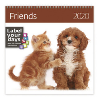 Friends - nástěnný kalendář 2020
