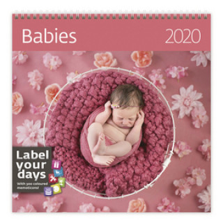 Babies - nástěnný kalendář 2020
