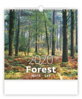 Forest/Wald/Les - nástěnný kalendář 2020