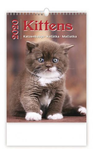 Kittens/Katzenbabys/Koťátka/Mačičky - nástěnný kalendář 2020