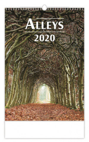 Alleys - nástěnný kalendář 2020