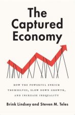 Captured Economy