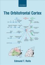 Orbitofrontal Cortex