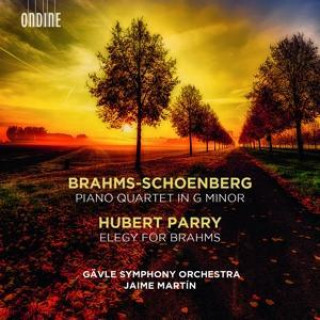 Klavierquartett in g-moll/Elegy for Brahms