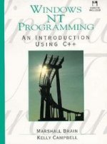Windows NT Programming