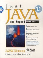 Just Java 1.1 and Beyond